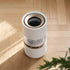 Rainforest Humidifier